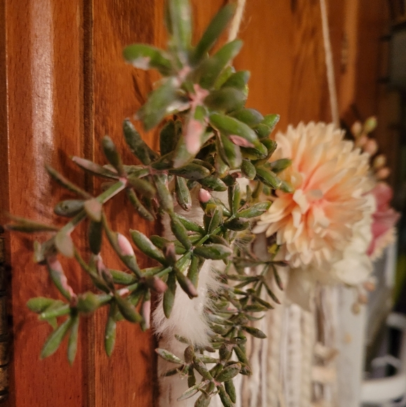 Boho hanging decor - Picture 3 of 3